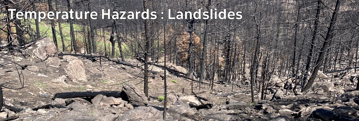 Course logo