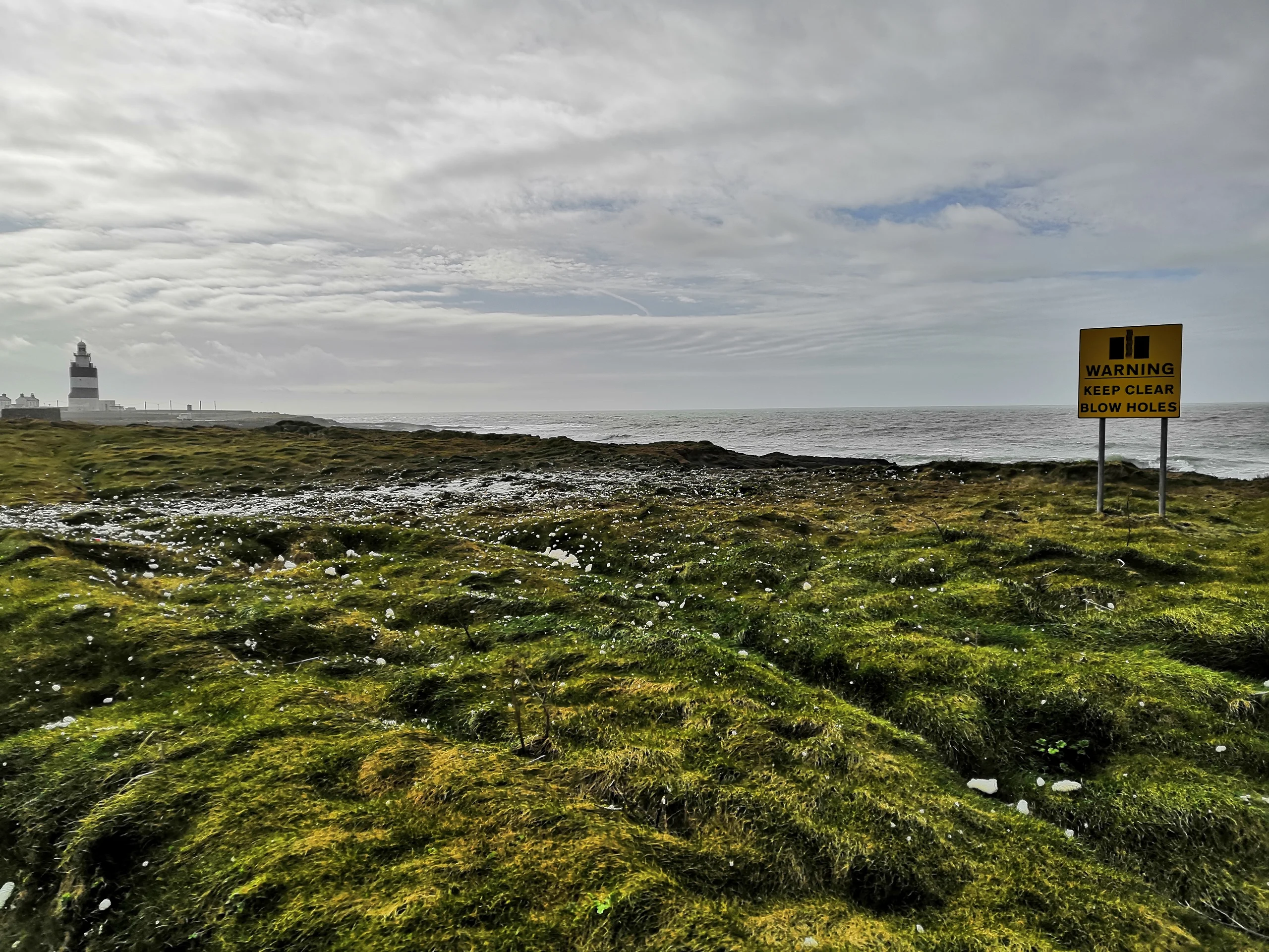 Virtual Field Trip to Wexford and Waterford